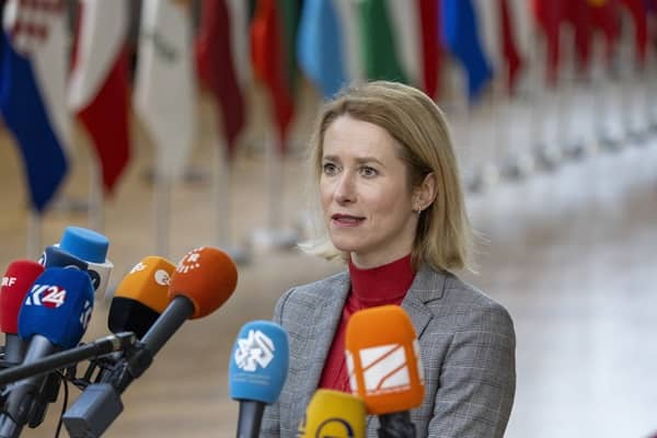 Estonia will provide military support for Ukraine