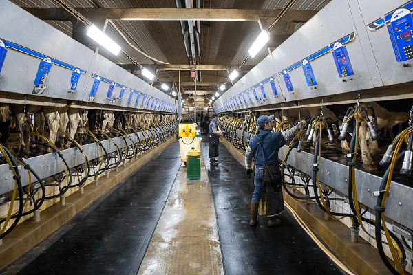 Major investor coalition calls on G20 to revise agricultural subsidies