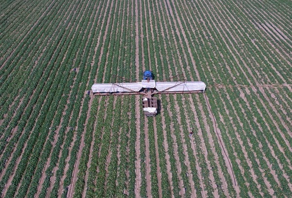 Escape to the country: British boom in rural entrepreneurs Escape to the country: British boom in rural entrepreneurs